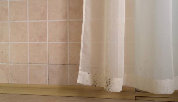 Best Indoor Air Quality Assessment  in Buena Vista, MI