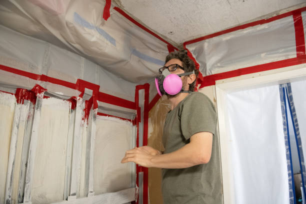 Trusted Buena Vista, MI Mold Removal Experts
