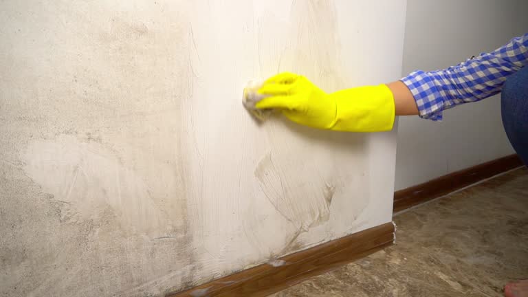 Best Mold Documentation for Insurance Claims  in Buena Vista, MI